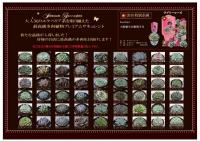 【産直】多肉植物　プレミアムサキュレント　3号40ポットセット　(エケベリア)