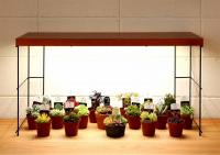 【産直】多肉植物の小さな庭(多肉育成用LEDライト用　スタンド)　1台